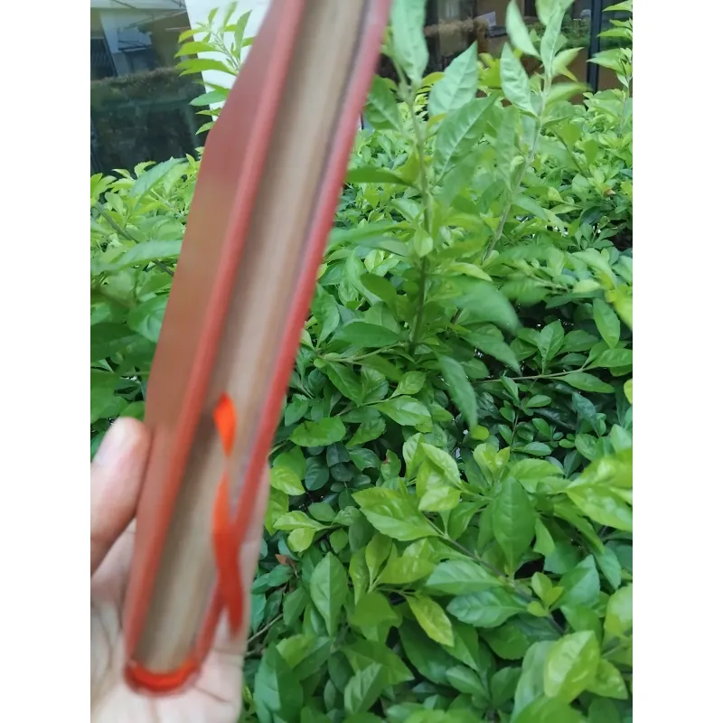 Lần theo dấu vết Ruồi Trâu của Evghenia Taratura 974271
