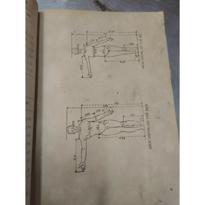 Hằng số sinh học người Việt Nam 362493