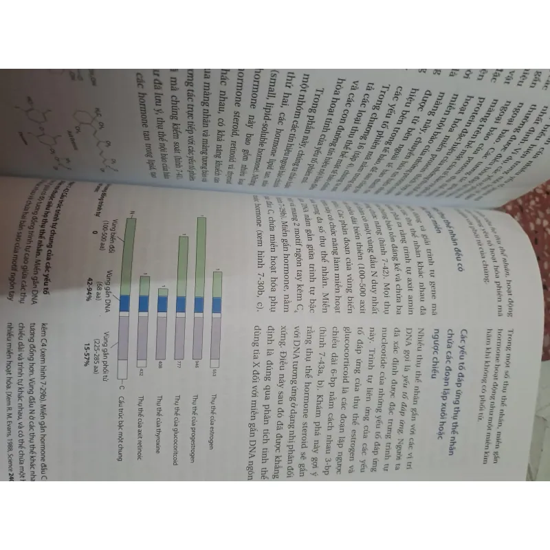 Sách Sinh Học phân tử của tế bào tập 2 - Nhiều Dịch Giả, Bìa Mềm, Ống Đứng 696912