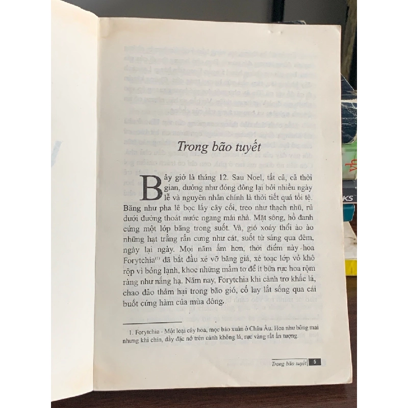 Vàng xưa – Nguyễn Văn Thọ 560719