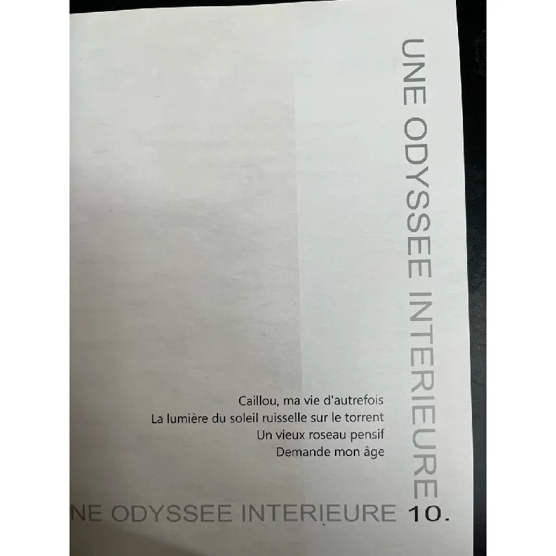 Thiên lý độc hành - Tuệ Sỹ 626608