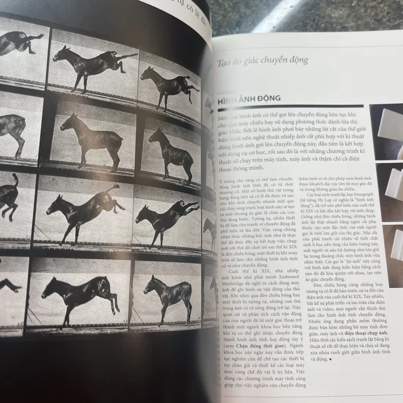 100 ý tưởng thay đổi nhiếp ảnh Mary Warner Marien 689524