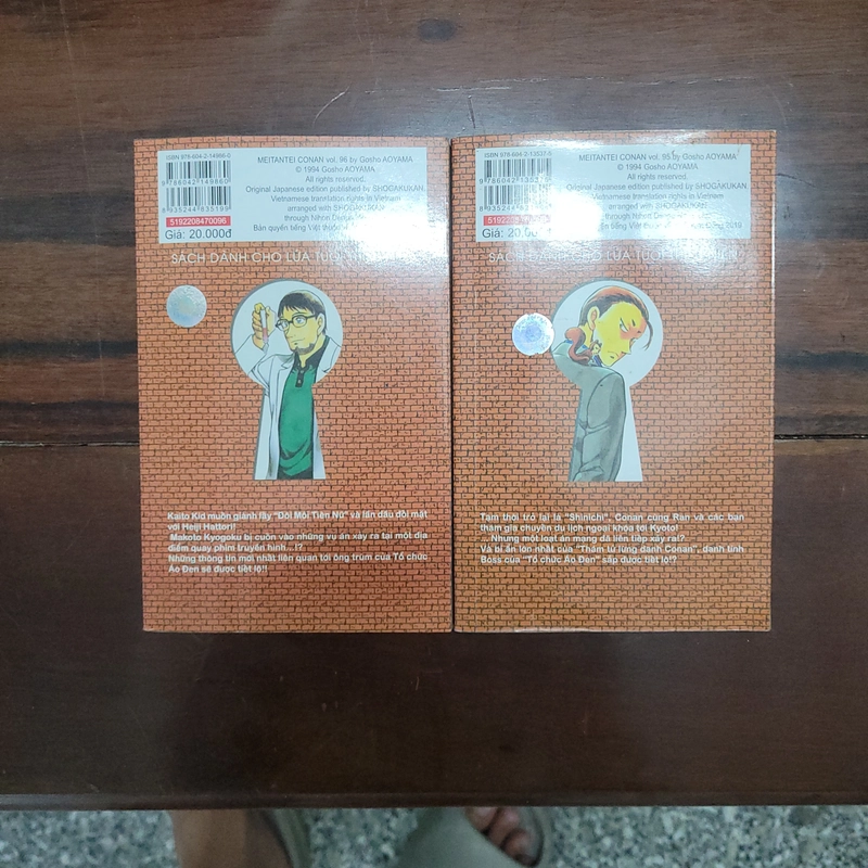 Truyện Conan tập 95, 96 453285