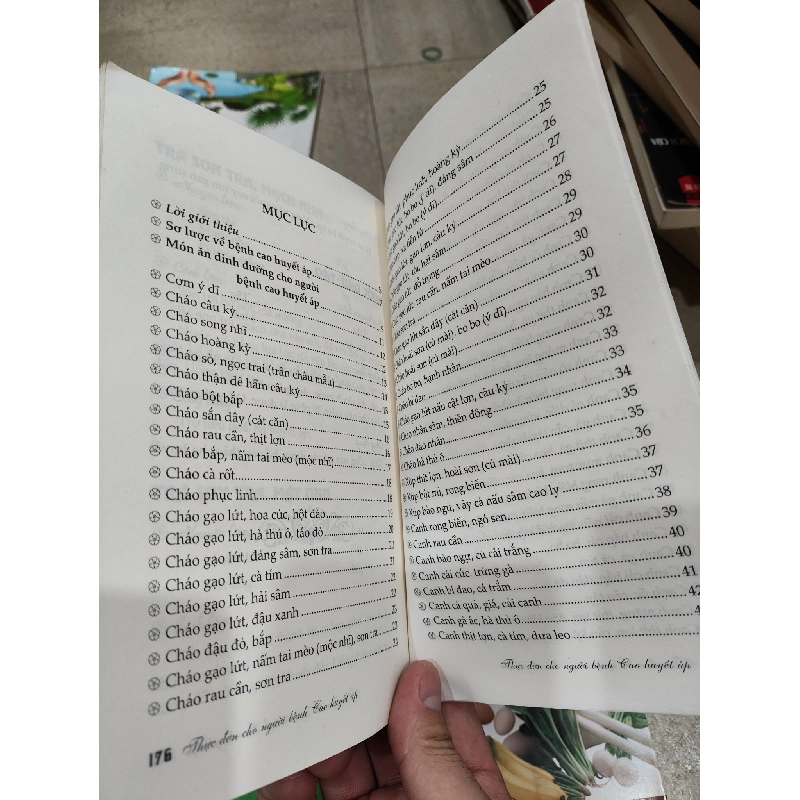 Thực Đơn Cho Người Bệnh Huyết Áp Cao - Hoài Thương 130813