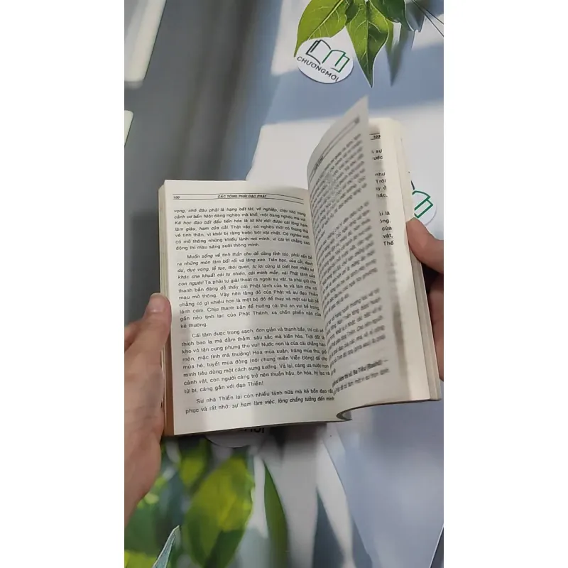 [XƯA] Các Tông Phái Đạo Phật (1995) - Đoàn Trung Còn 776150