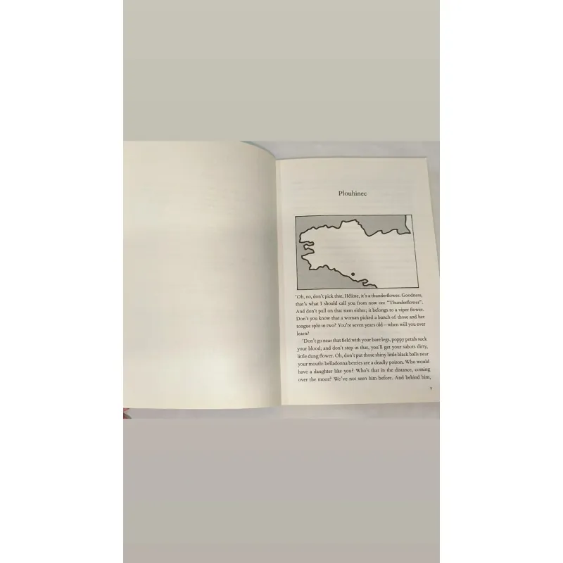 The Poisoning Angel by Jean Teulé
 747959