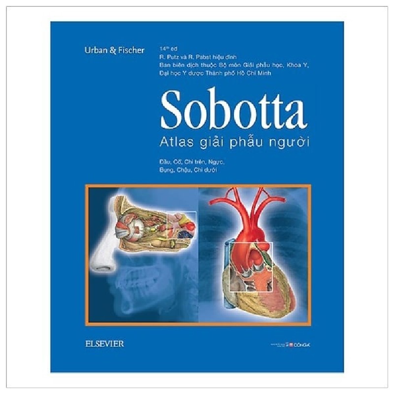 Sobotta Atlas Giải Phẫu Người New 100% HCM.PO 155681
