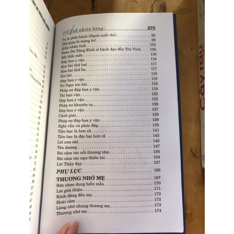 Ánh nhiên đăng 1000592