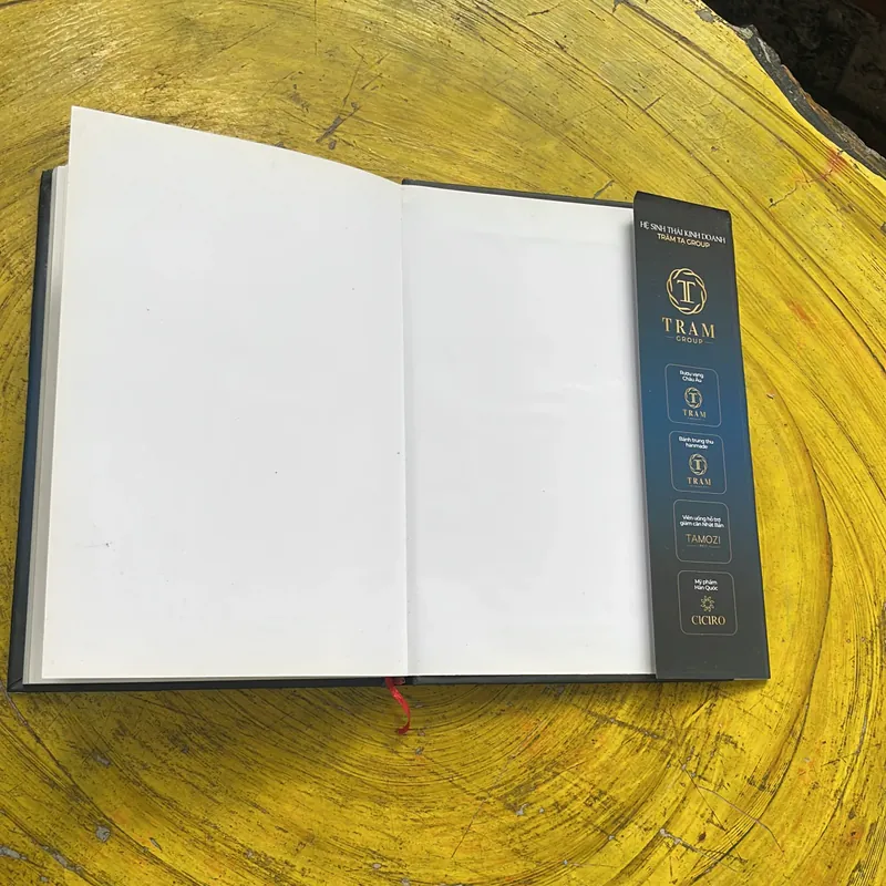 GIẢI MÃ KINH DOANH HỆ THỐNG PHÂN PHỐI GIỚI THIỆU PHƯƠNG PHÁP RABON- TRẦM TẠ 674347