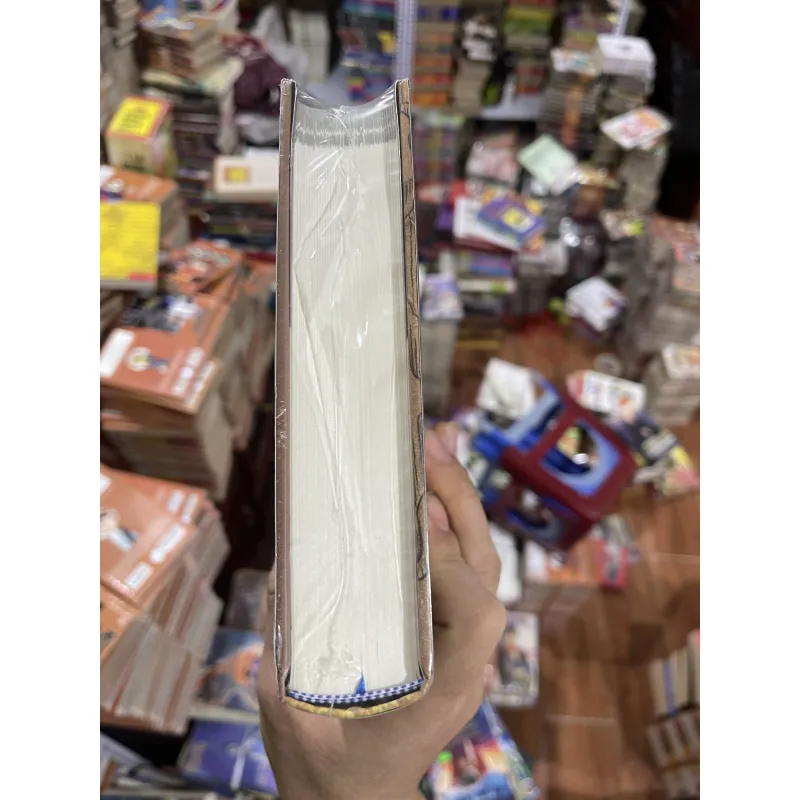 Việt Nam Sử Lược bản đặc biệt - Trần Trọng Kim (6) 758187