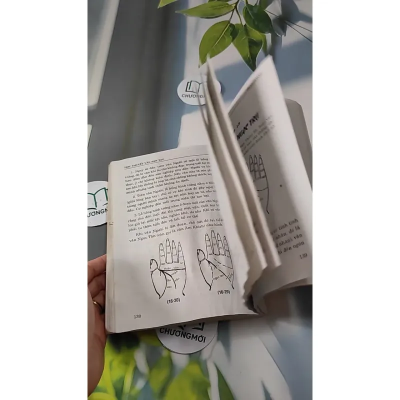 Học Thuyết Vân Bàn Tay Của Gia Cát Khổng Minh - Trình Hoành 727277