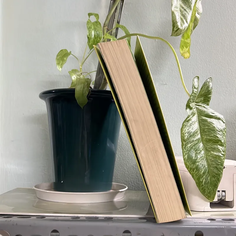 Hiểu về trái tim - Minh Niệm 736319