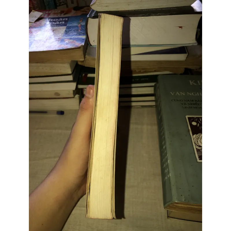 Các bậc khai quốc triều lê 972650