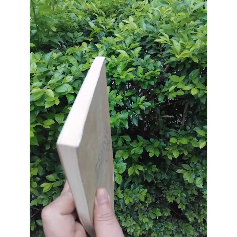 Hiền tập thơ nhạc của Nguyễn Thụy Kha 977169