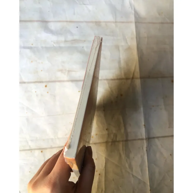 Gã Du Đãng Chúng Ta Đang Lùng Kiếm - Le Thi Diem Thuy 745417