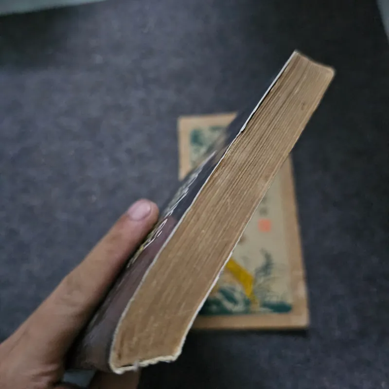 Di chúc Pháp - Andrei Makine 733976