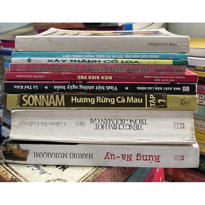 Lô sách văn học lịch sử 713986