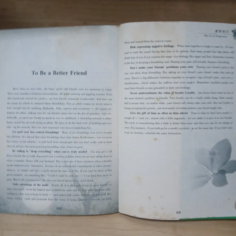 The Most Beautiful English 928323