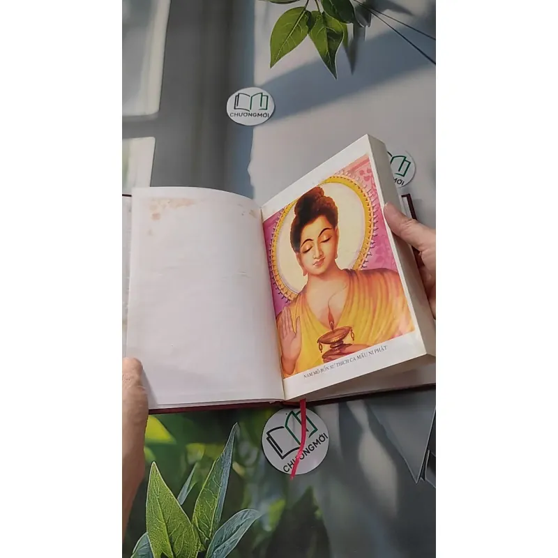 Chơn Lý 1 - Tổ Sư Minh Đăng Quang 990053