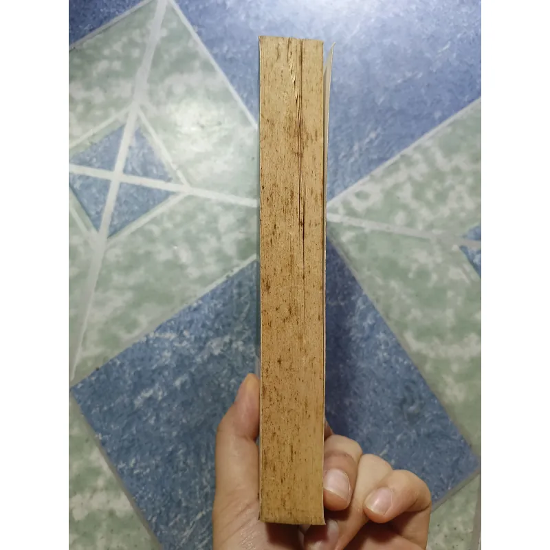 The Phantom of the Opera - Gaston Leroux 1018709