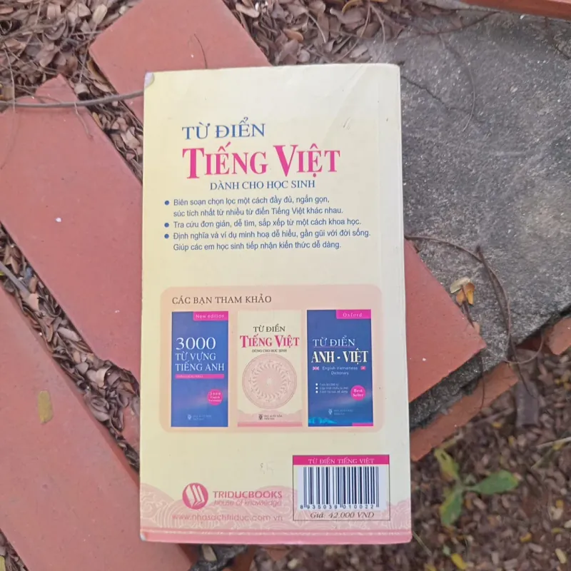 Từ điển tiếng Việt 999675