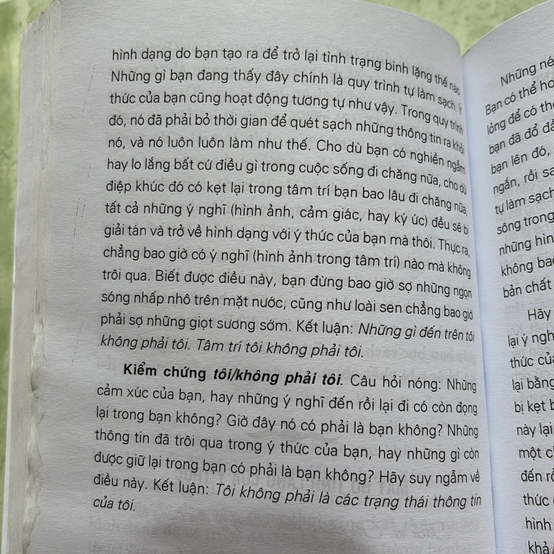Sách Hiệu ứng hoa sen 502714