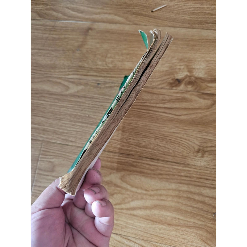 Bí ẩn của những điềm chiêm bao 399969