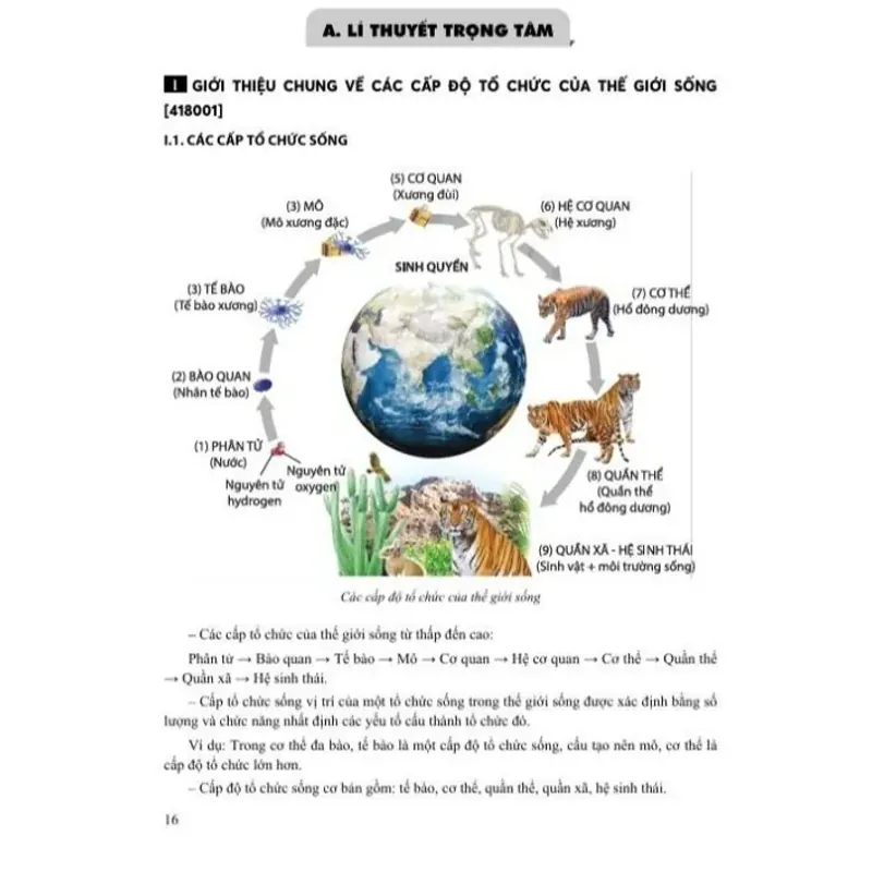 Sách - 2026 TSA - Tổng Ôn phần Tư Duy Khoa Học/Giải Quyết Vấn Đề Môn Sinh Học 925905