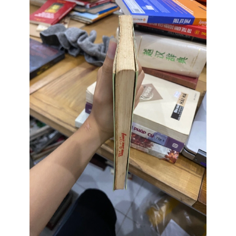 Từ điển chính tả thông dụng - Nguyễn Kim Thản 367309