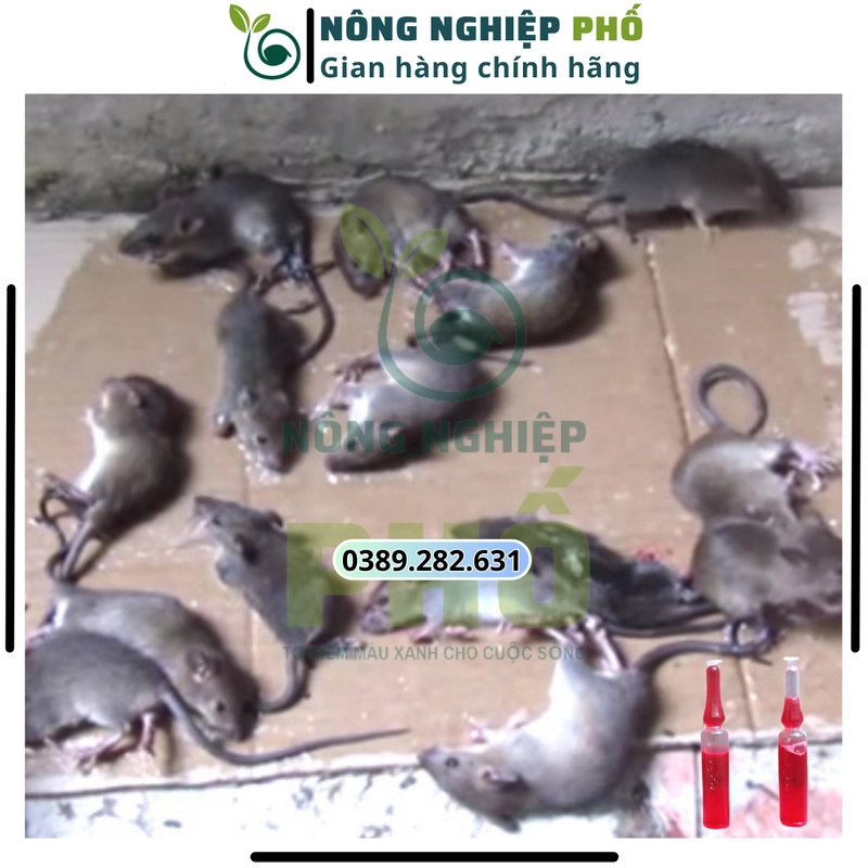 [XẢ KHO] 10 Ống chuột NƯỚC ĐỎ hàng nội địa Trung. Trừ sạch nhanh các loại chuột sau 1 lần 508251