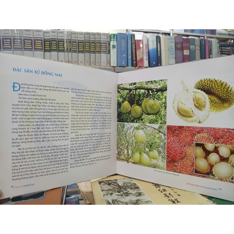 DU LỊCH ĐỒNG NAI THIÊN NHIÊN MỜI GỌI 576222