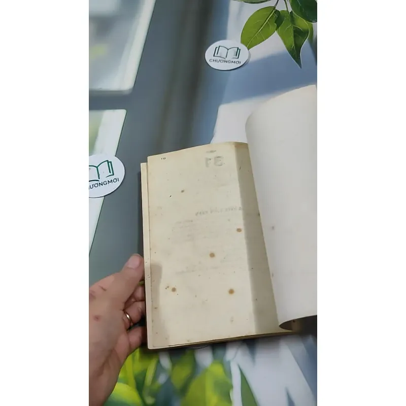 Tử Vi Tây Phương 727337