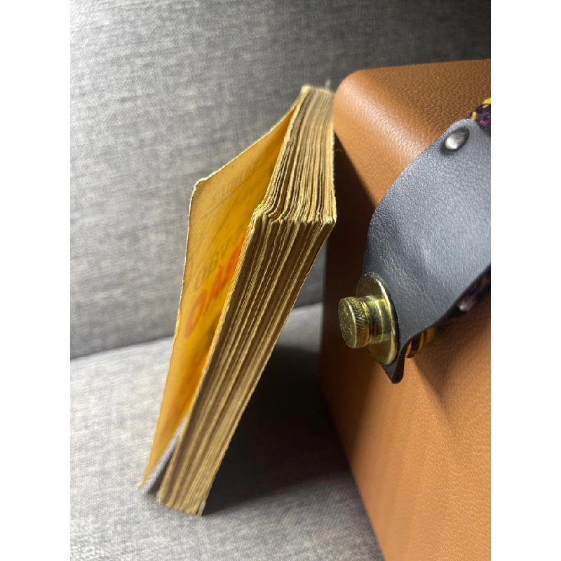 Bước vào nghề báo Leonard Ray Teel và Ron Taylor 1993 mới 60% ố vàng bìa bẩn HPB0305 451432