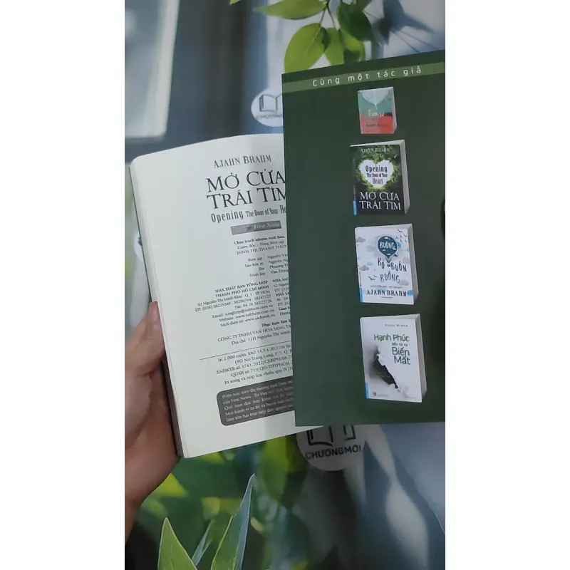 Mở Cửa Trái Tim - Ajahn Brahm 961179