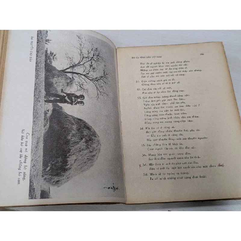 Việt nam thi nhân tiền chiến - Nguyễn Tấn Long & Phan Canh ( combo 9 quyển ) 545601