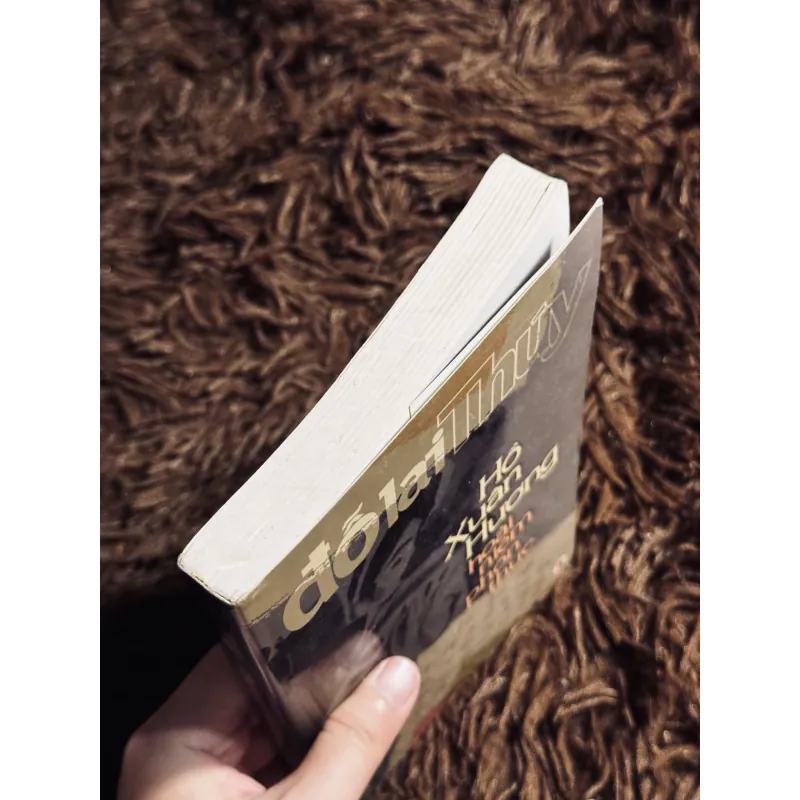 Hồ Xuân Hương boài niệm phồn thực (Đỗ Lai Thuý) 1017643