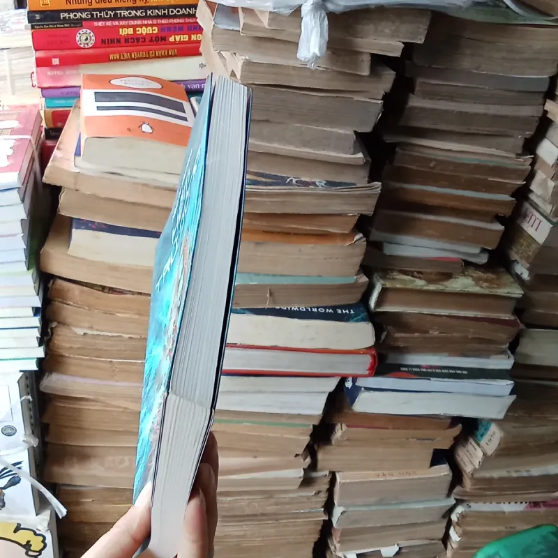 Hầm Trữ Đông - Minette Walters 776919