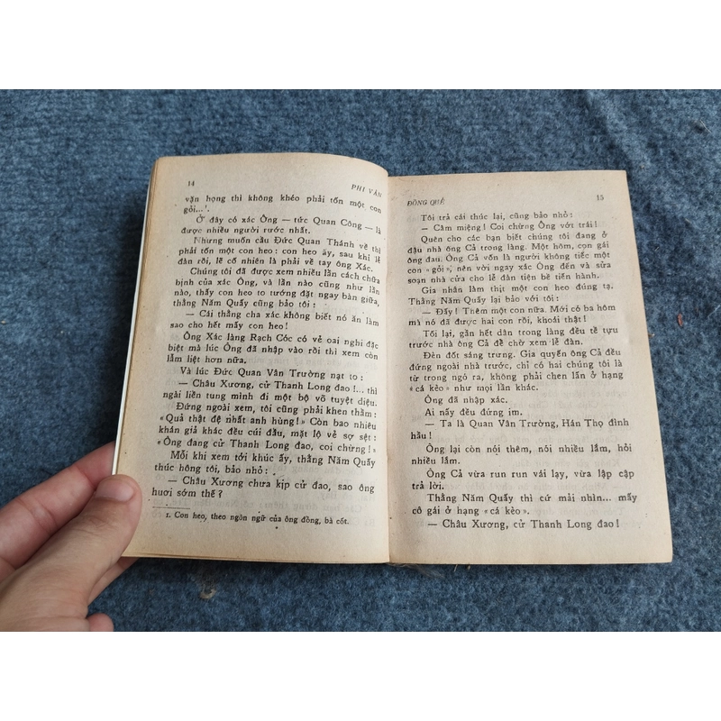 ĐỒNG QUÊ - PHI VÂN 478528