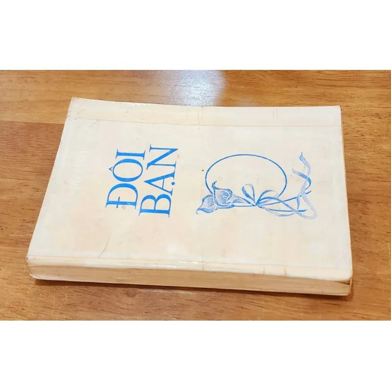 Tiểu thuyết lãng mạn kinh điển Việt Nam: ĐÔI BẠN (Tác giả: Nhất Linh) 753674