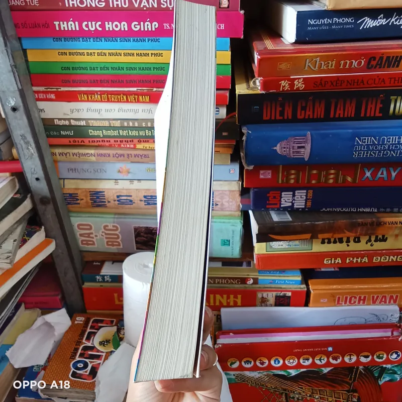 Có Phật Trong Đời- Đại Sư Tinh Vân 590703