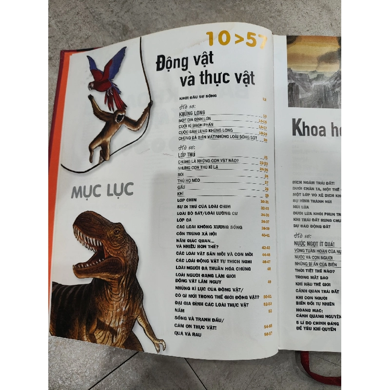 Bách Khoa Thư Thế Hệ Mới 993436