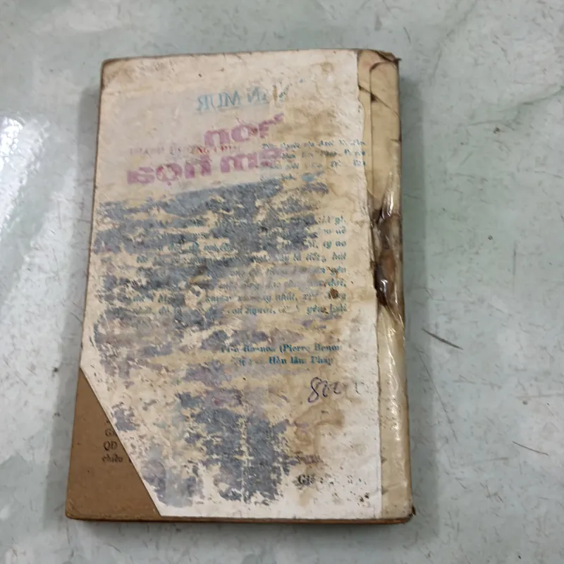 Thánh đường chim 1031028