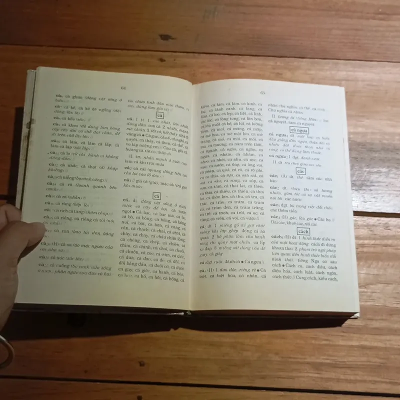 Từ điển đồng âm tiếng Việt  577020