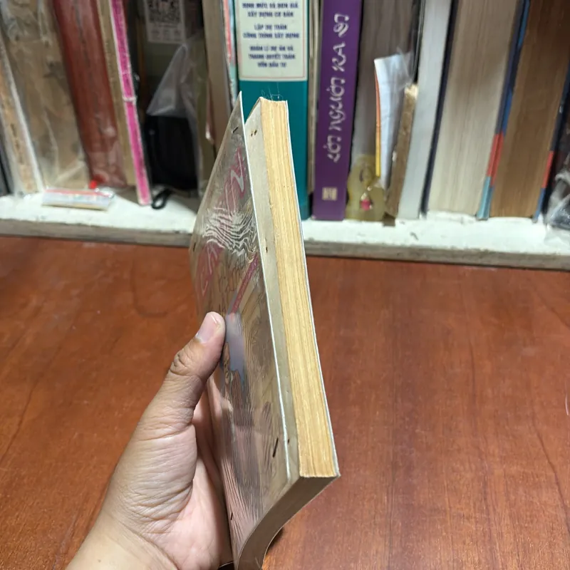 II Tủ Sách Doanh Nhân: Yersin, Quê Hương Phía Mặt Trời - Trần Phương Hạnh - 1996 1012788
