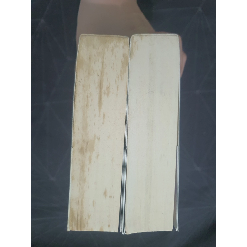 "Thời gian tươi đẹp" - Đinh Mặc 497222