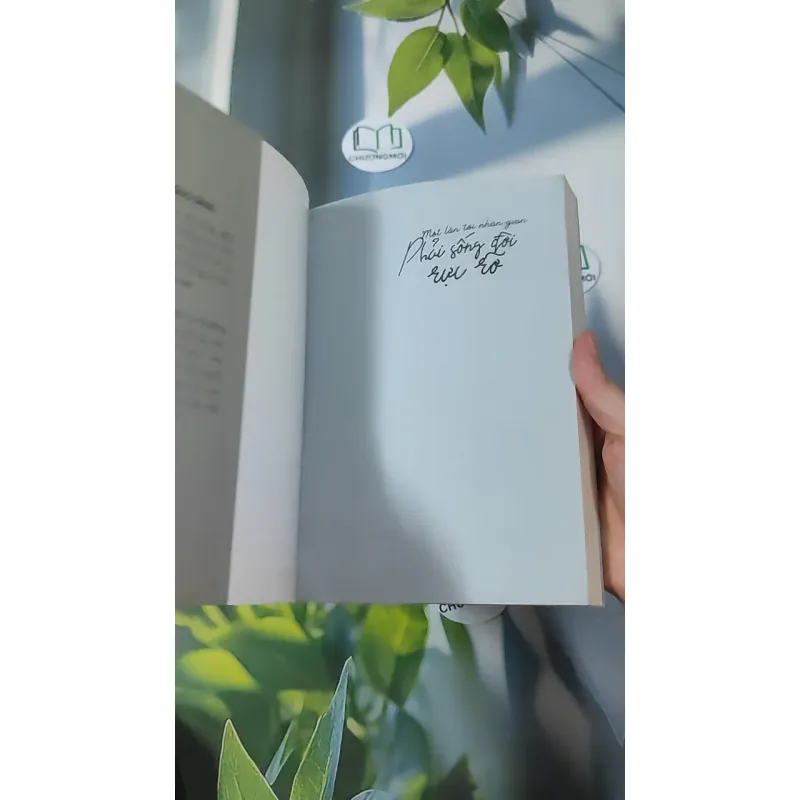 Một Lần Tới Nhân Gian, Phải Sống Đời Rực Rỡ - Lương Sảng 961157