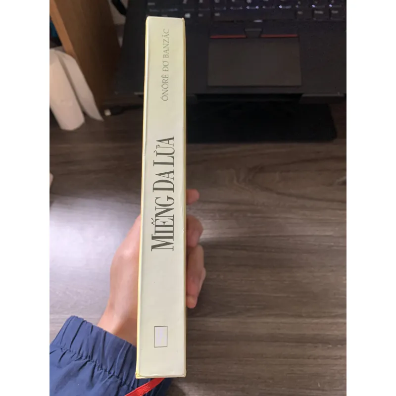 Miếng da lừa (Bìa cứng) 753931