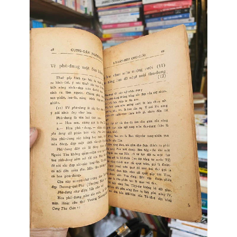 CUNG OÁN NGÂM KHÚC - NGUYỄN GIA THIỀU 129634