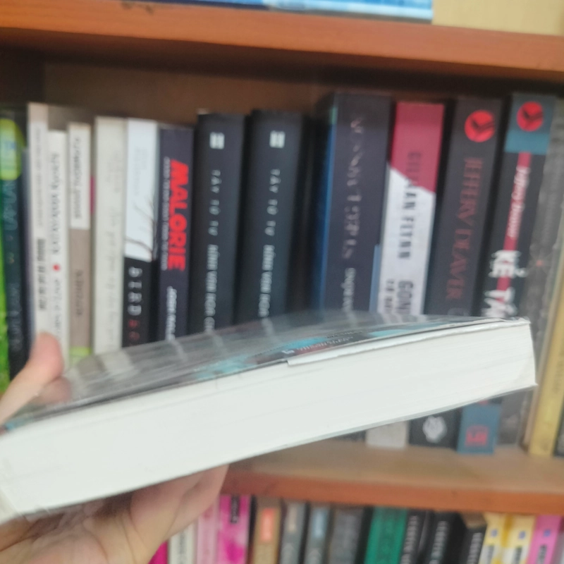 Đảo Quỷ Edogawa Ranpo mới 100% 301066