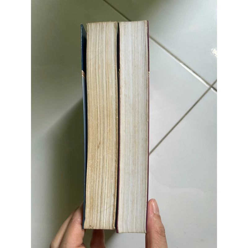 Mối Tình Đầu Của Napoléon 474236